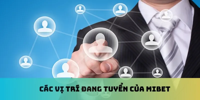 Các vị trí đang tuyển dụng của Mibet