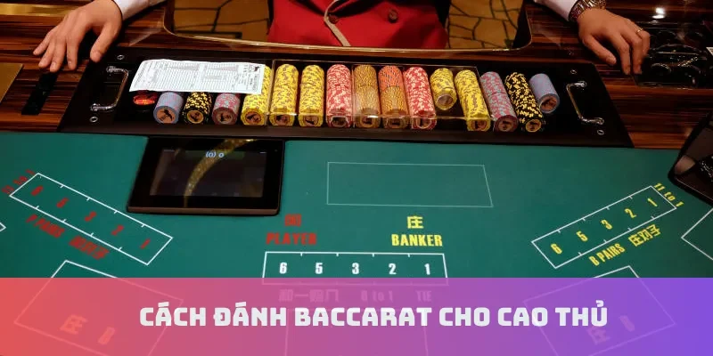 Cách đánh baccarat cho cao thủ