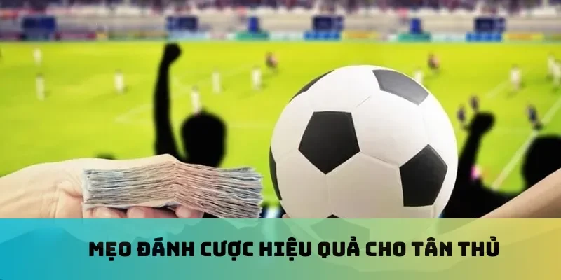Mẹo đánh cược hiệu quả cho tân thủ