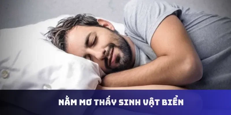 Nằm mơ thấy sinh vật biển