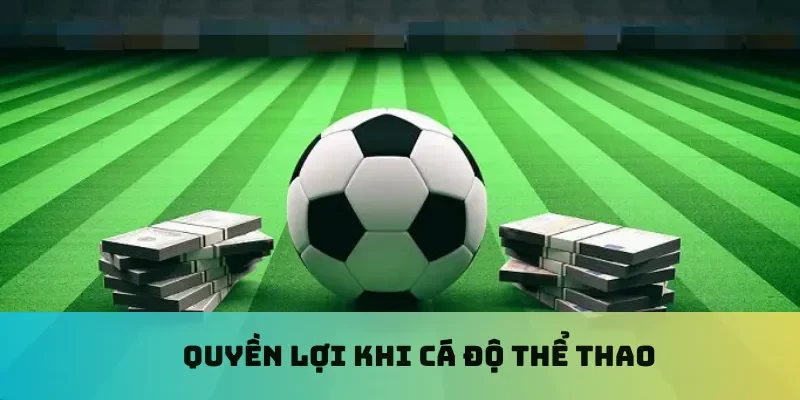 Quyền lợi khi cá độ thể thao
