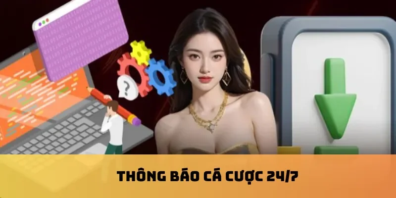 Thông báo cá cược 24/7