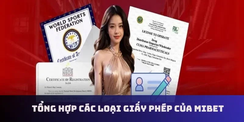 Tổng hợp các loại giấy phép của Mibet